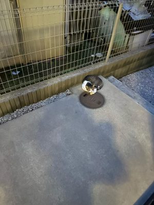 image3_2.jpeg